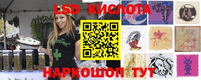 сатива Краснодар