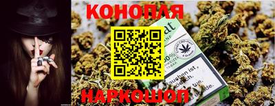 сатива Краснодар