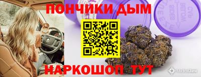 сатива Краснодар