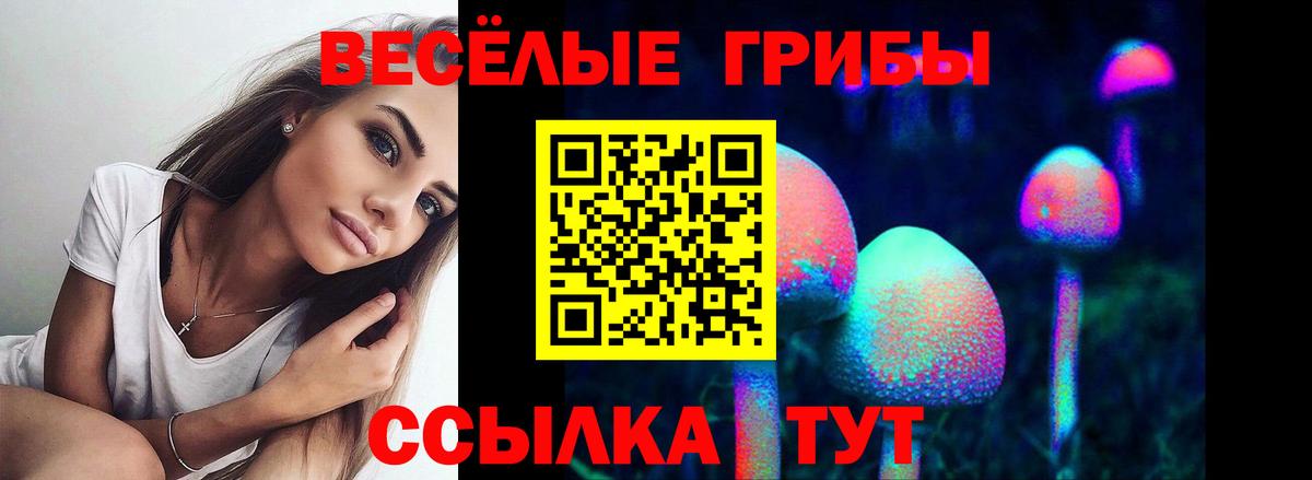 Псилоцибиновые грибы ЛСД  Вход с VPN  Когалым  Галлюциногенные грибы Psilocybe 